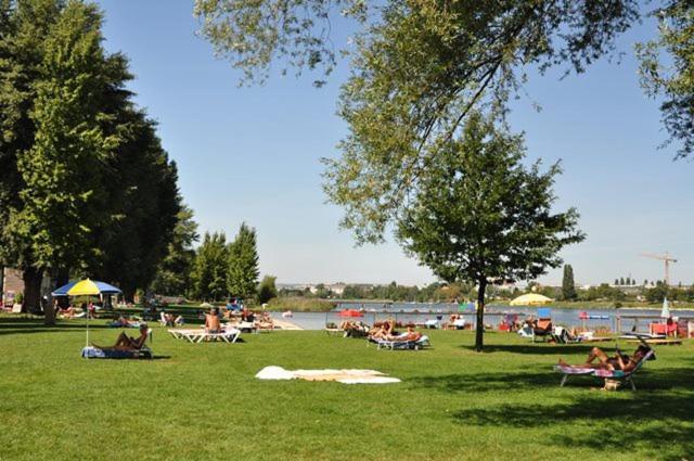 Schoenes Living Am Donauufer * Vienna